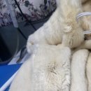 아파트세탁소 이미지