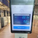 폴리덴탈 | 출국 준비물 평가 및 귀국준비