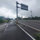 마이제주부동산중개법인 이미지