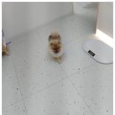 굿데이멍 이미지