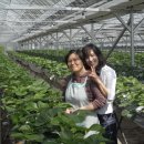 김순자농장 이미지