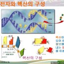 핵산의 구성, 유전자 DNA에도 스위치가 있다? 이미지