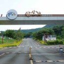 경산의 삽살개육종연구소 | &lt;경산&gt; 경북 아이와 가볼만한곳 가족여행-경산의 삽살개 육종연구소