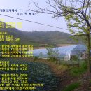 석정원 이미지