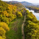 하천(갑천5) 이미지