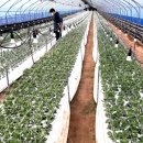 세광농장 이미지