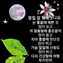 빵빠레 이미지