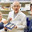 치매 치료제 나오나 이미지