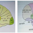 중국불교의 화두참구 - 화두의 집중 이미지
