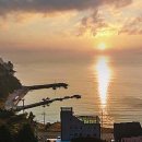 핑스애견펜션 이미지