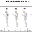 바른자세바디케어운동센터 네이버블로그