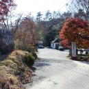 그린팜영농조합법인 이미지