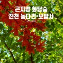 곤지암 화담숲, 진천 초평호수 농다리, 진천 보탑사, 거산투어 이용