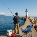 태안호스릴-57 | 🎣 6월 3주차 방파제 낚시 주어종과 어로 정보