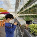 승언농장 이미지