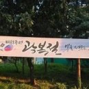 태극기 거꾸로 그렸다 논란…인천시, 광복절 현수막 철거 이미지