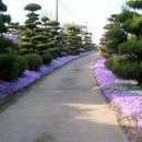 잔디 농장 이미지