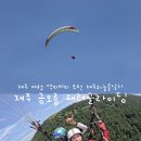 제주하늘을날다 | 제주 금오름 패러글라이딩 안 하면 후회하는 액티비티 추천 힐링 여행 제주하늘을날다