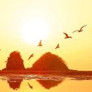 바다노을 이미지