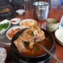 제주본토박이 이미지