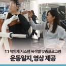 라인어클락 PT 이미지