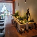 마마도마 이미지