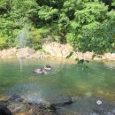 다시와요민박 이미지