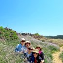 제주도 카니발 렌트 제주 여행사 추천 이용 후기