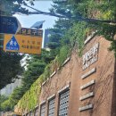 AI를 활용한 유튜브 숏츠 영상 제작 | ‘AI로 시작하는 숏츠·블로그 수익화’ 교육 솔직 후기(무료 강의)
