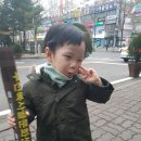 다온여행사 이미지
