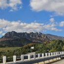 고성 DMZ 평화의길 걷기 ＆ 여행(2025.11.03~11.04) 이미지