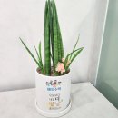 미성중학교 | 다니는데 성적이 안 오르는 중2, 이유가 있더라-관악구 수학학원 바오수학 교습소에서 상담받은 후기