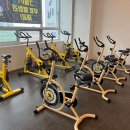 갤러리휘트니스 이미지