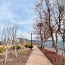 아라길(작은영화관 옆) 이미지