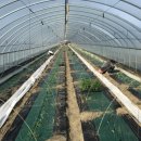 정원농장 이미지