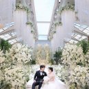 엘프스냅 이미지
