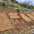 신흥종묘농약사 이미지