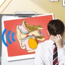 굿모닝보청기 수원센터 이미지