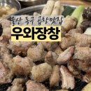 우와장창 | 울산동구맛집 일산지맛집 우와장창 아이랑 다녀온 울산곱창 찐단골 후기