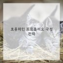 성공열쇠 - 천안시 서북구 월봉로 132 | 성공열쇠