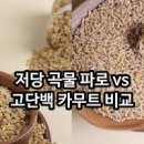 카무트 파로 통곡물 효능 3가지 매일 챙겨 먹는 이유 이미지