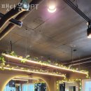 팻다운핏 이미지