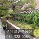 부평힘찬병원 앞 이미지