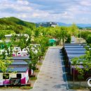 낙동강 레포츠밸리 구지오토캠핑장 이미지