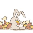 루이 펫 살롱 이미지