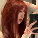 차은헤어 이미지