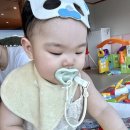 창원 키즈카페 샤샤의 놀이터 10개월 아기랑 내돈내산후기