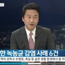 SBS 최시원 옹호 허위뉴스 이미지