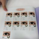해고입구  대흥사우나 2 | [포항 안경점 추천] 다비치 뜨레뷰 렌즈ㅣ컬러렌즈 추천ㅣ다비치안경 포항중앙점