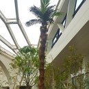 다원테크 이미지